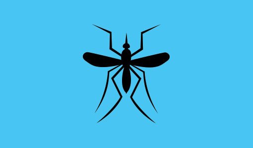 mosquito control 